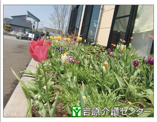 花壇