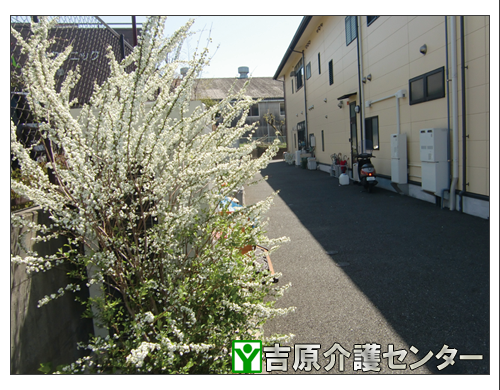 裏口