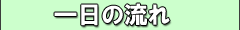 一日の流れ