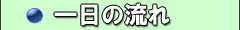 一日の流れ