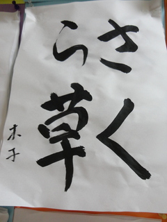 DSC02967.JPG