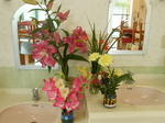 DSCN2546.JPG